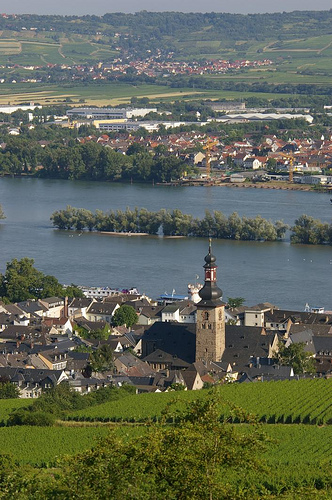 R&uuml;desheim